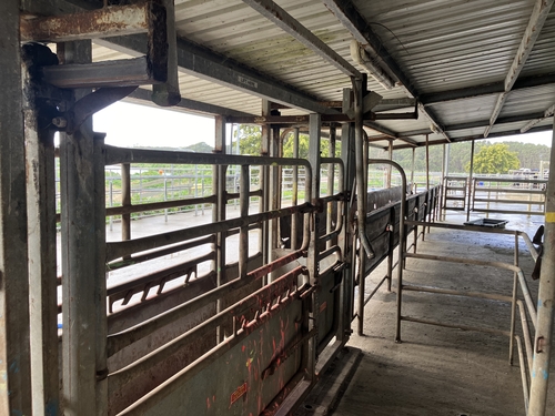 301 Woolnorth Road, Woolnorth, TAS 7330